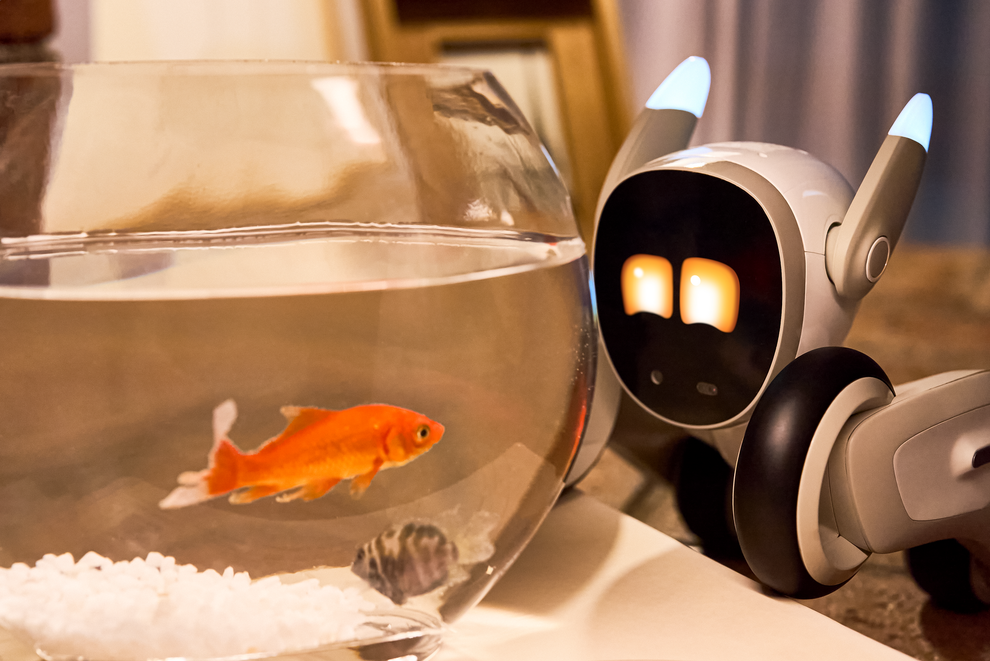 Why Mini and Programmable Robots are 2025’s Top Interactive Companions for Adults 