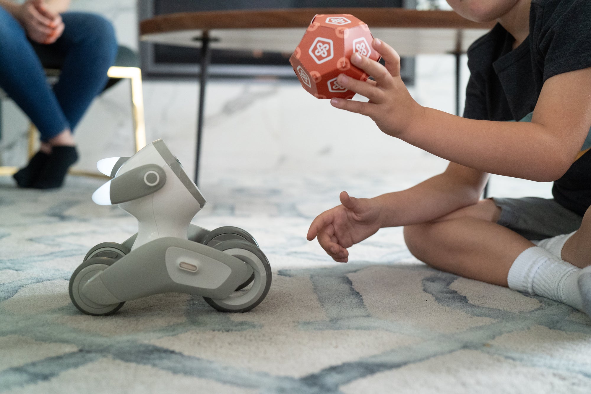 Top 5 smart robots for your home and office: features, benefits, and where to get them.