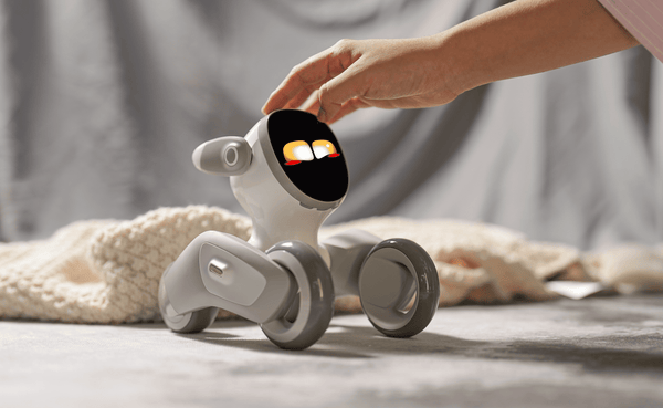 Your Loona Questions Answered: Master Your AI Pet's Voice Commands & More