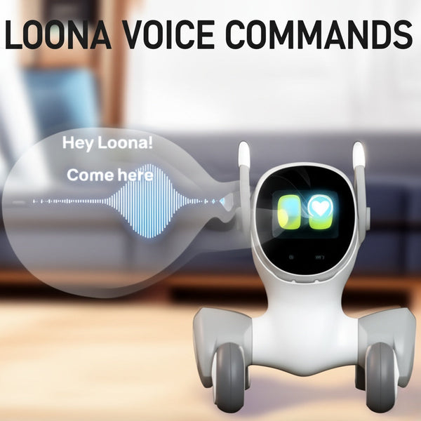 LOONA Voice Commands: How to use voice commands to interact with Loona?