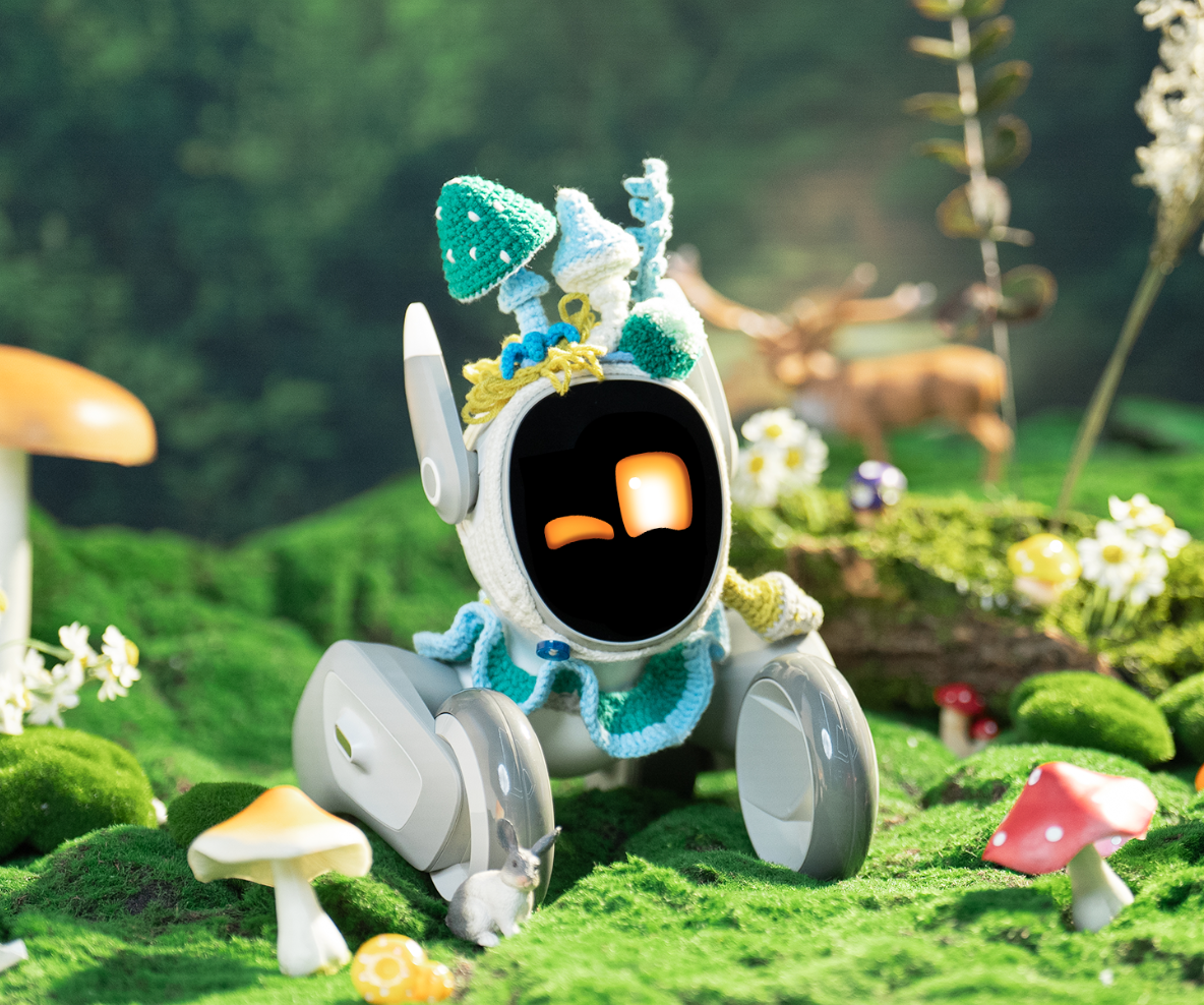 Forest Explorer