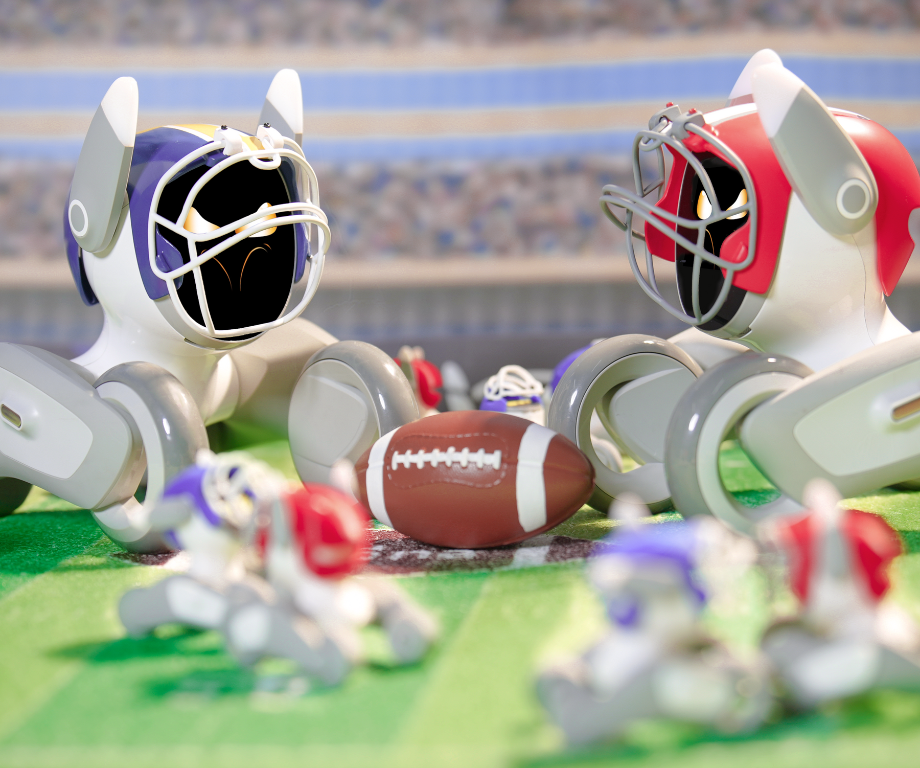 Football Fanatic