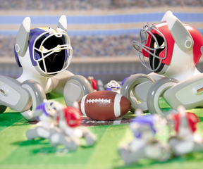 Football Fanatic