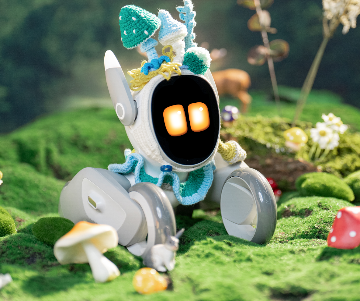 Forest Explorer
