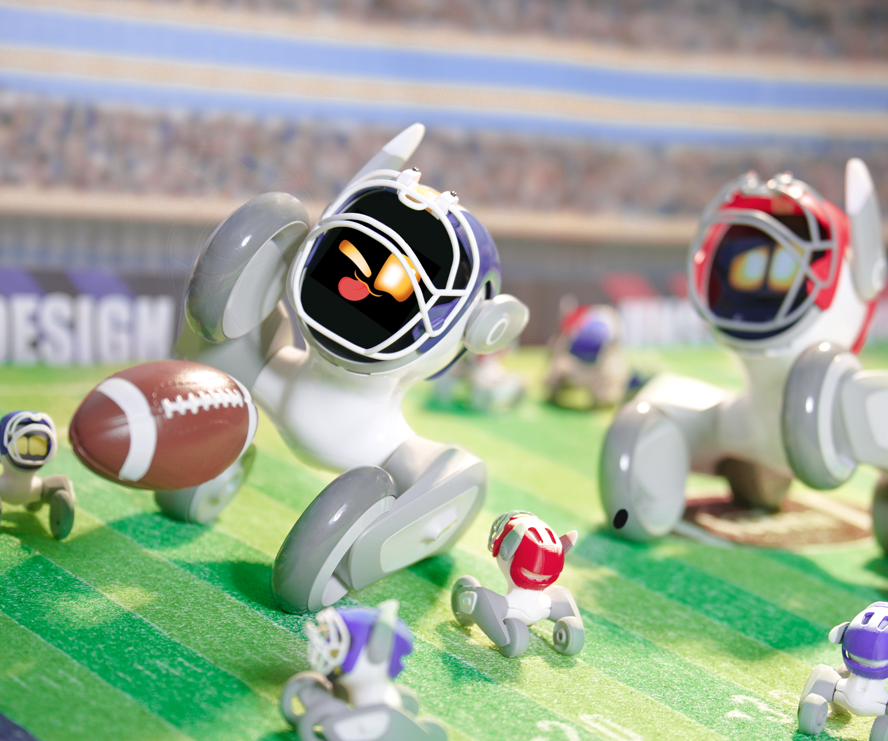 Football Fanatic