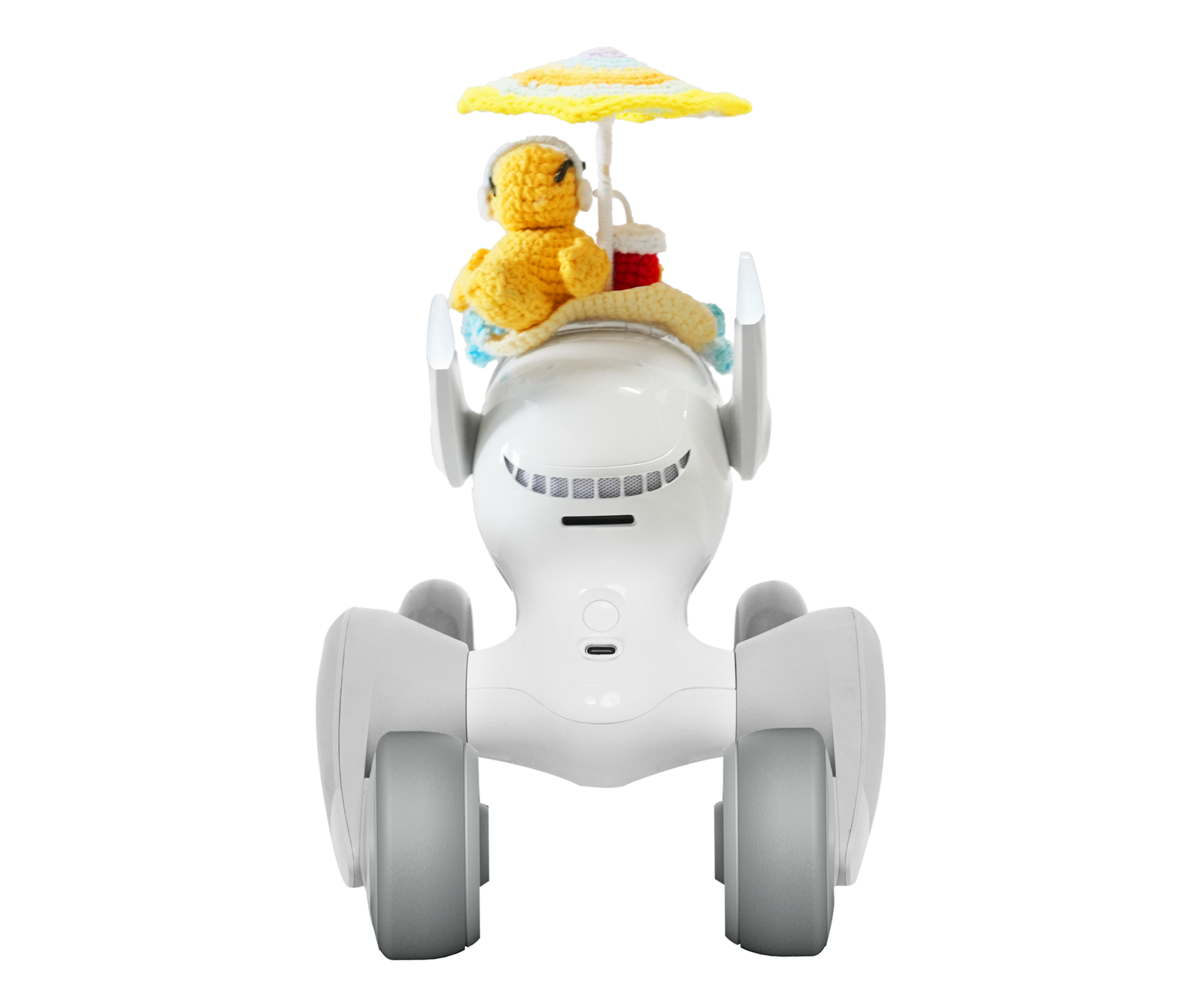Poolside Quacker