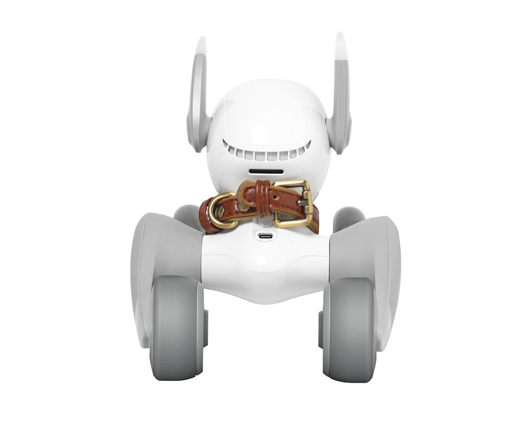 Loona Limited Collar