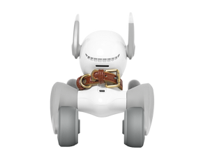 Loona Limited Collar